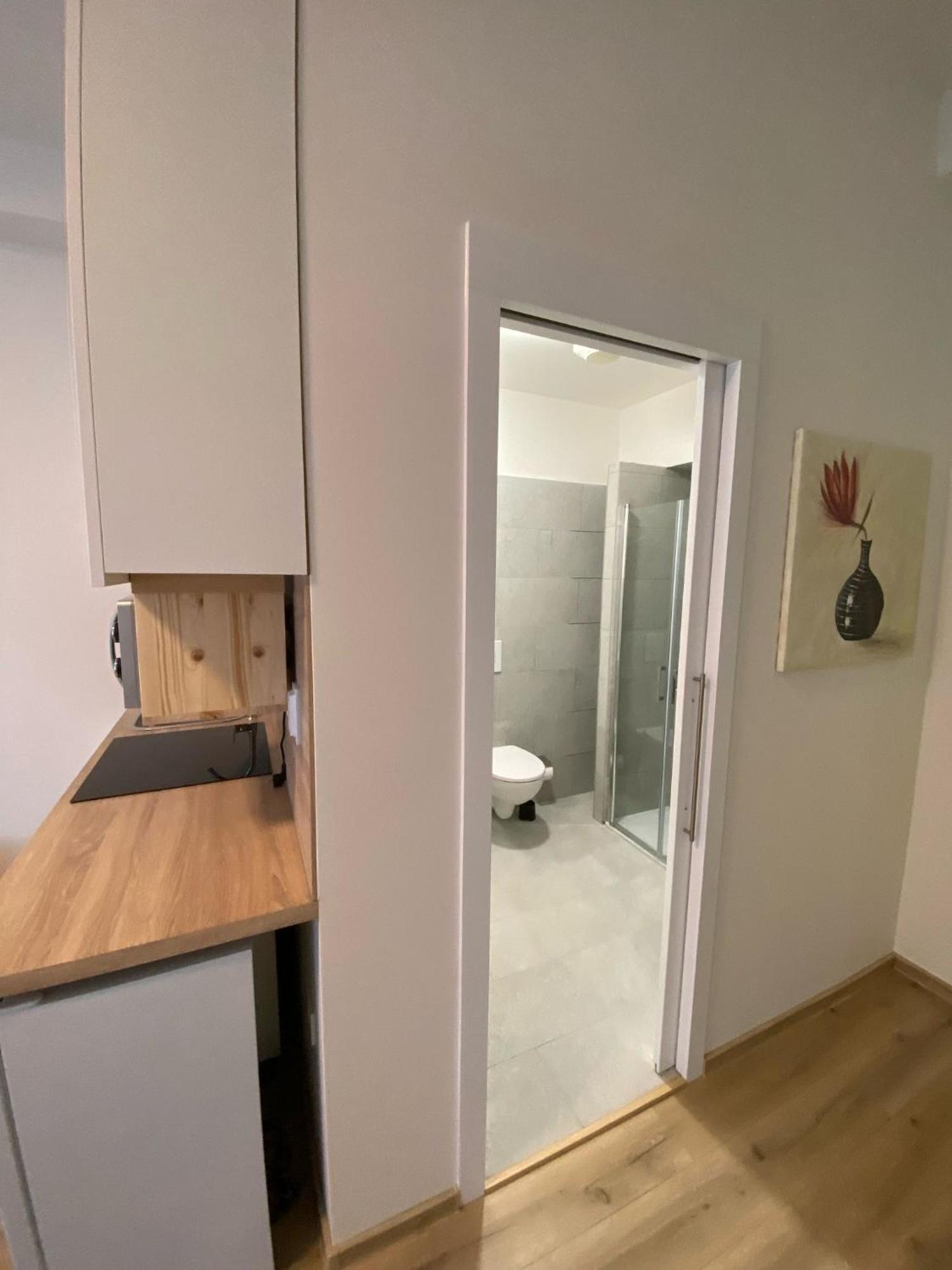 Garsoniera Ostrava City Centr, Na Hradbach 118 ภายนอก รูปภาพ